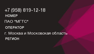 9588191218